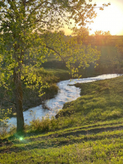 Bin Campground